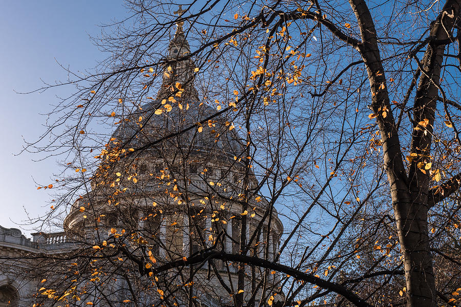 Christmas Photograph - Autumn leaves at St Pauls Cathedral London by Gary Eason