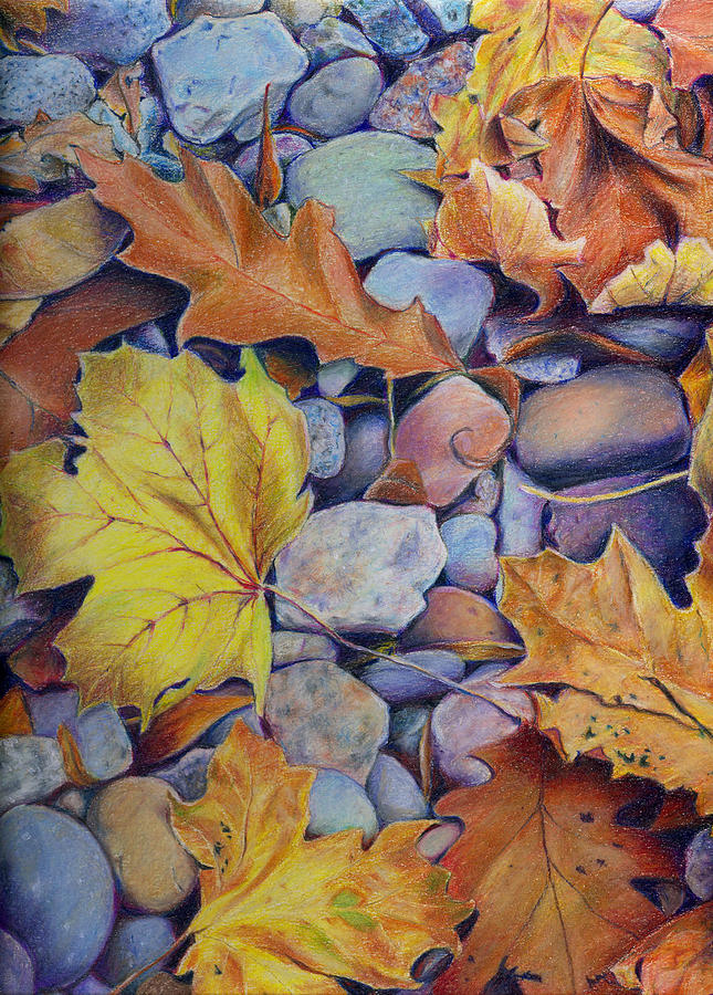 Autumn leaves Drawing by Bob Botha