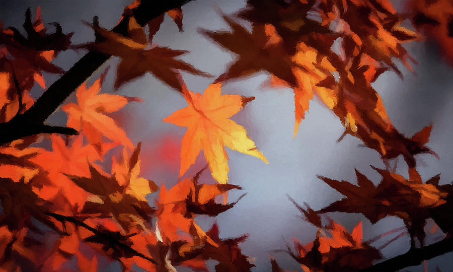 Autumn Leaves  Photograph by David Dehner