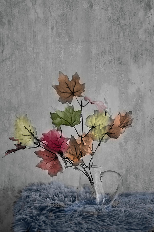 Autumn Leaves Photograph by Elvira Pinkhas