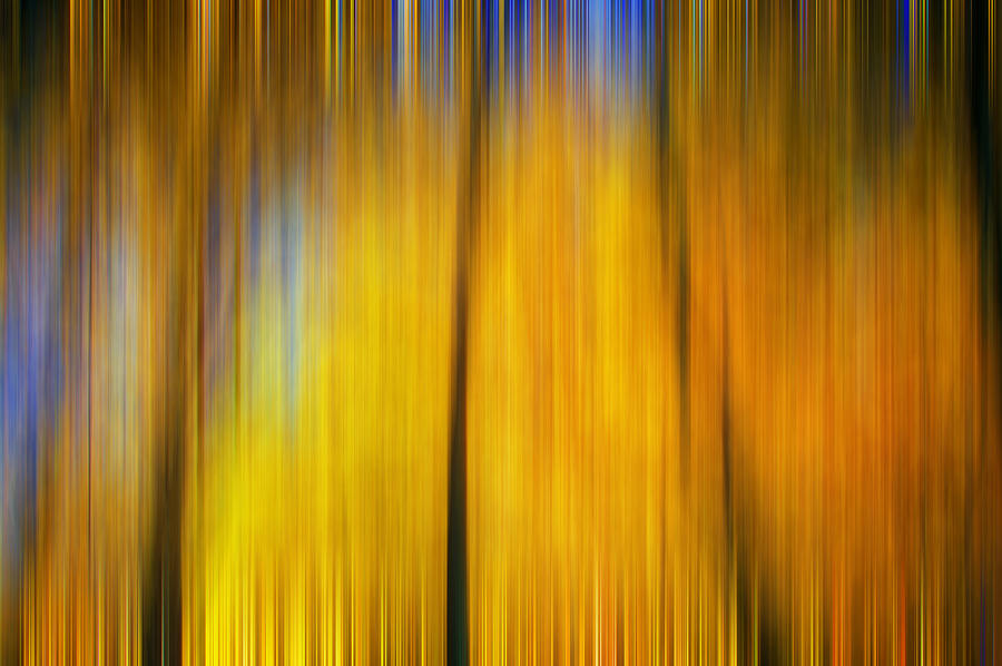 Autumn Leaves Fall Colors Digital Abstracts Motion Blur Photograph by Rich Franco