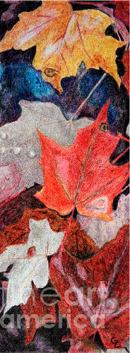 Autumn Leaves Drawing by Glenda Zuckerman
