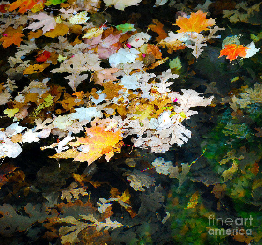 Fall Photograph - Autumn Leaves in Pond by Nancy Mueller
