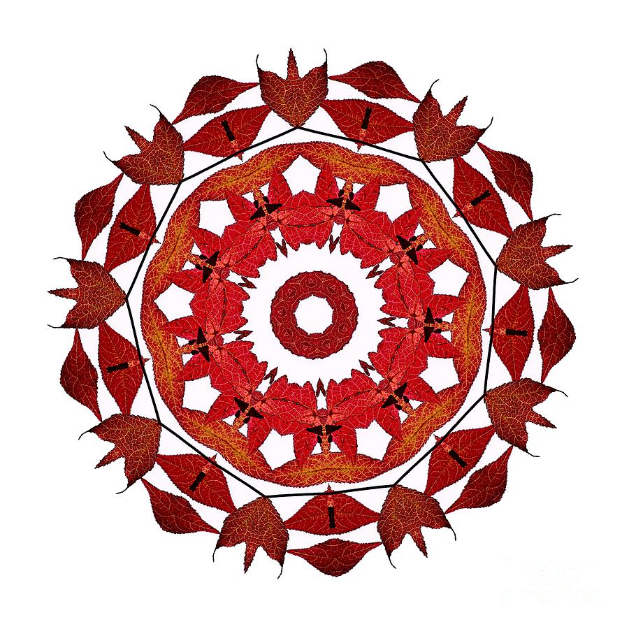 Pattern Photograph - Autumn Leaves Mandala by Kaye Menner by Kaye Menner