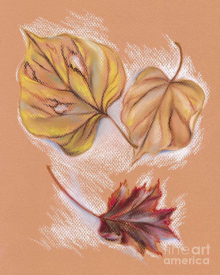 Autumn Leaves of the Redbud and Maple Pastel by MM Anderson