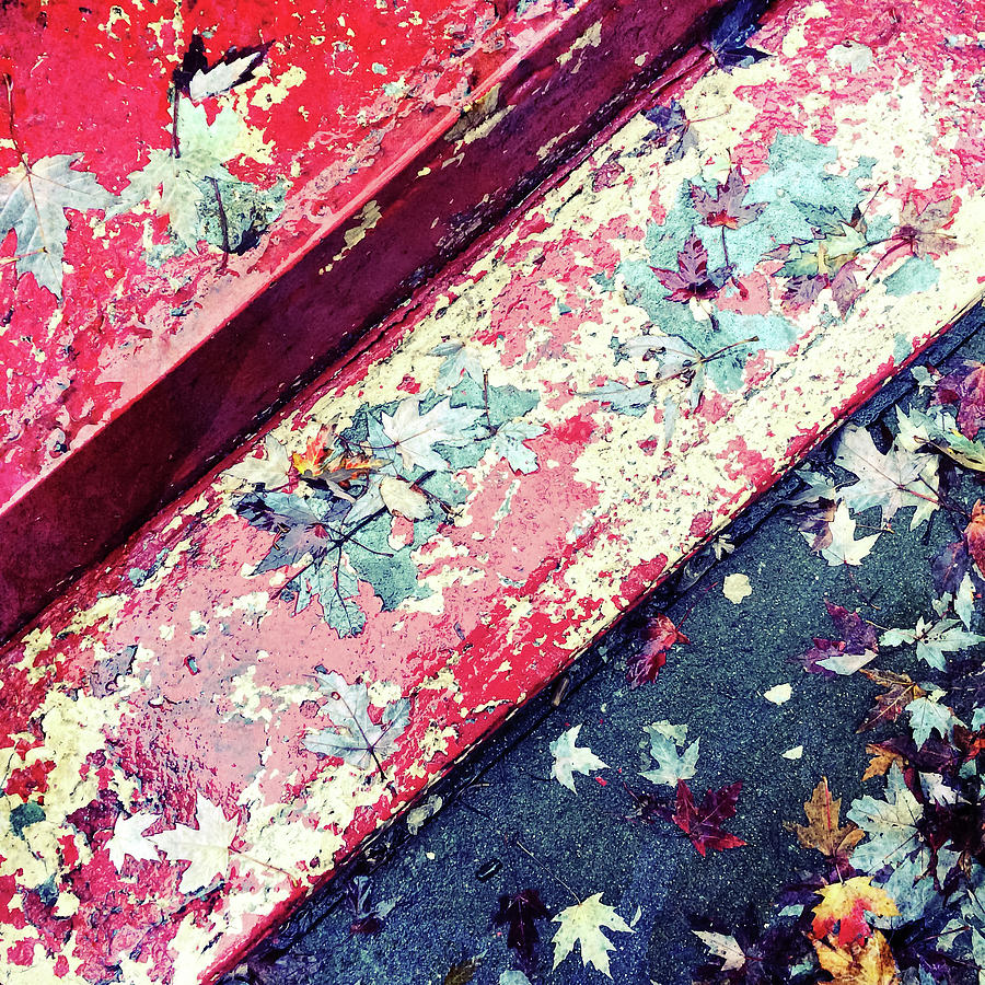 Fall Photograph - Autumn leaves on old painted staircase by GoodMood Art