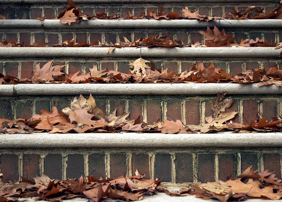 Autumn Leaves On Stairs Photograph