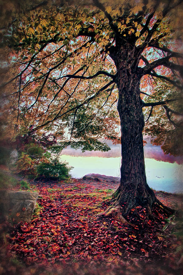 Autumn Leaves on the Blue Ridge Parkway AP Painting by Dan Carmichael