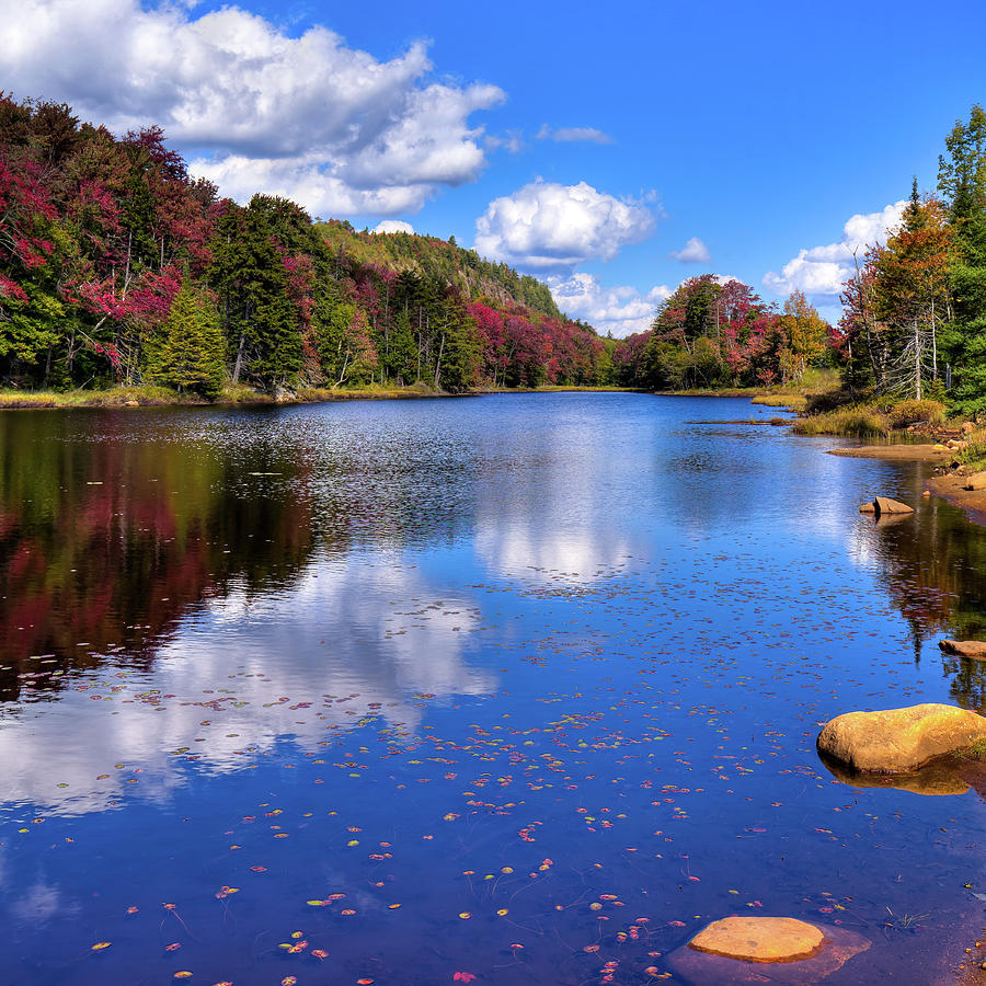 Landscape Photograph - Autumn Leaves on the Pond by David Patterson