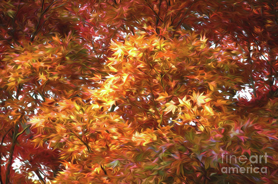 Autumn Leaves Painted Photograph