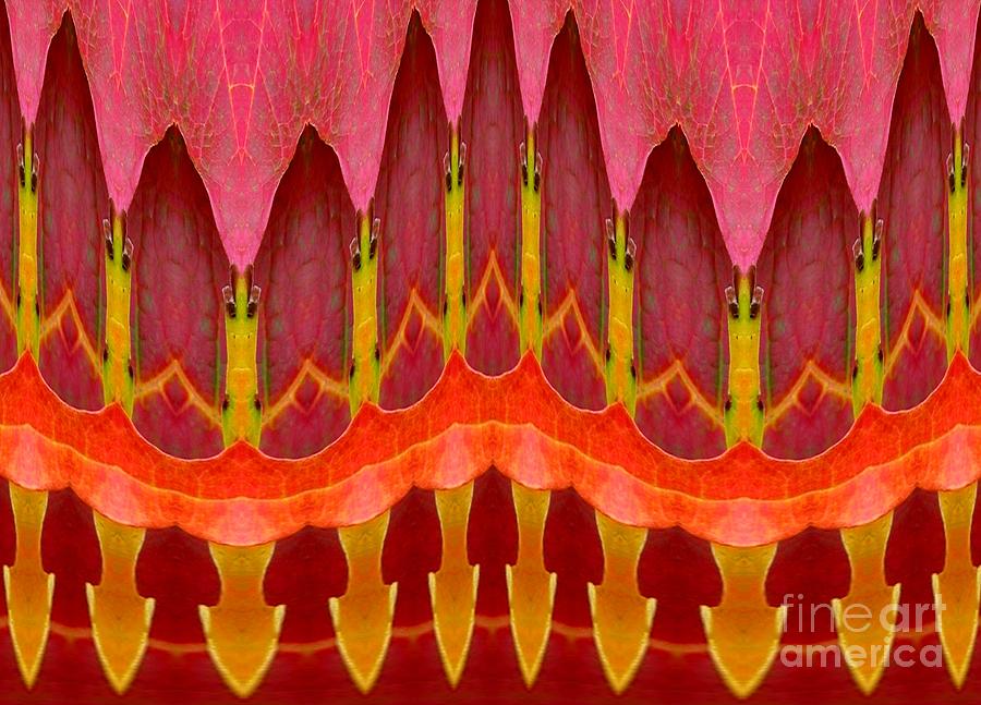 Fall Photograph - Autumn Leaves Polar Coordinate Abstract by Rose Santuci-Sofranko