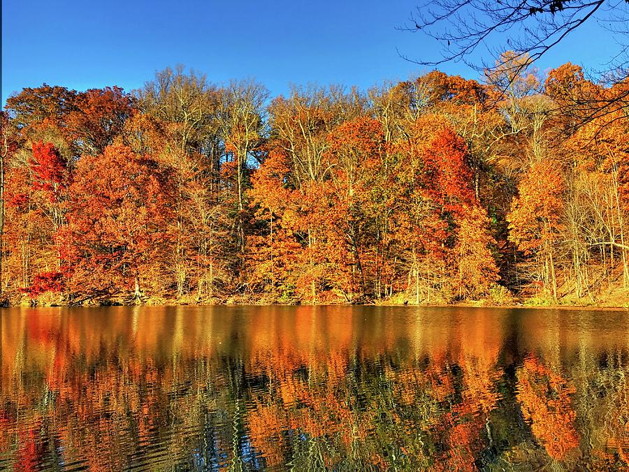 Autumn Leaves Reflected On The Lake Photograph