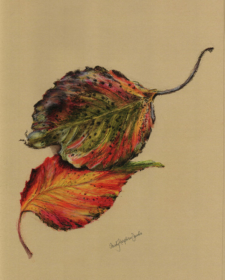 Fall Painting - Autumn Leaves by Sandy Murphree Jacobs