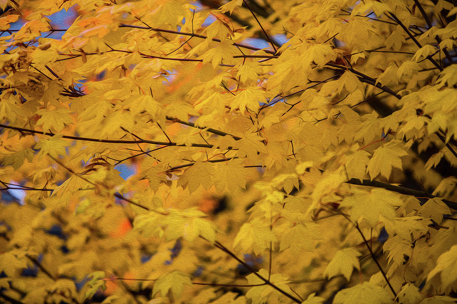 Autumn Leaves Digital Oil Digital Art by Birdly Canada