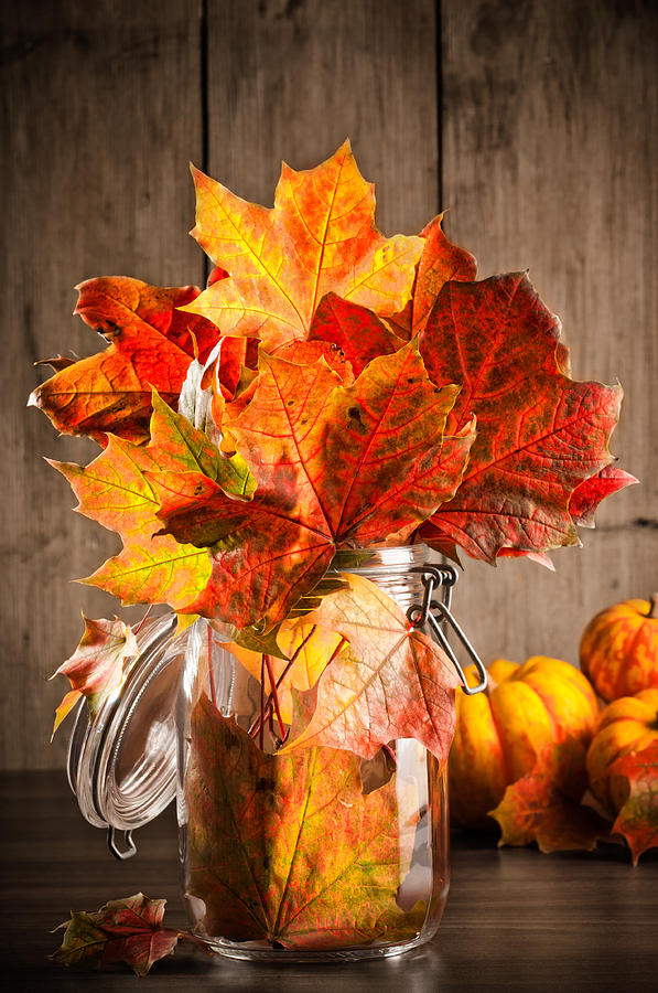 Thanksgiving Photograph - Autumn Leaves Still Life by Amanda Elwell