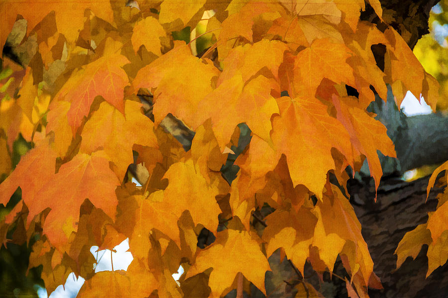 Autumn Leaves Watercolor Photograph
