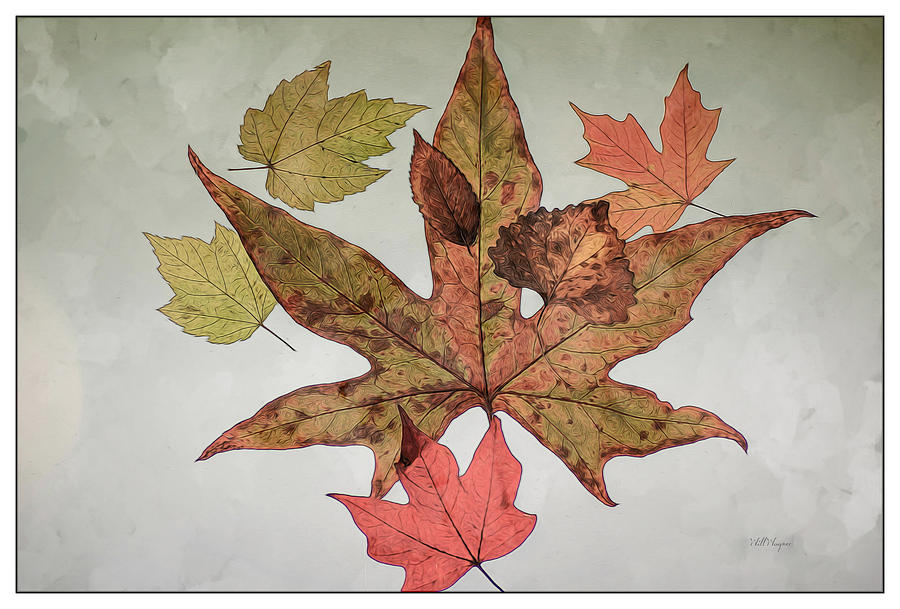 Autumn Leaves Photograph by Will Wagner