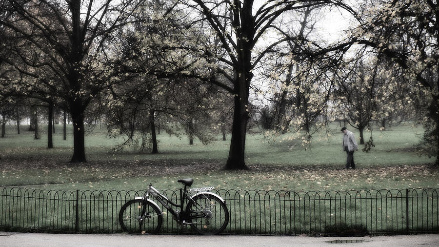 London Photograph - Autumn Life by Glenn DiPaola