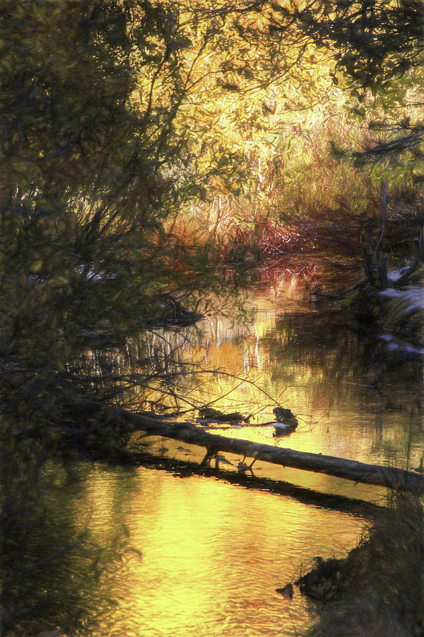 Mcgee Creek Photograph - Autumn Light by Donna Kennedy Mcgee Creek Photograph - Autumn Light by Donna Kennedy