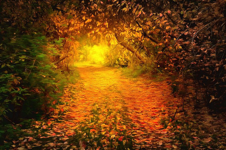Autumn light Digital Art by Lilia D