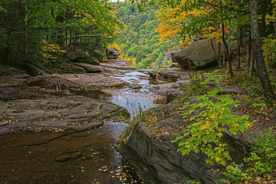 Autumn Low Flow At Kaaterskill Photograph by Angelo Marcialis