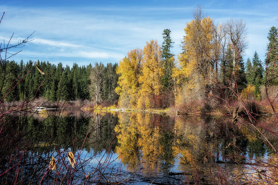 Autumn Makes an Appearance at Fish Lake Photograph by Belinda Greb