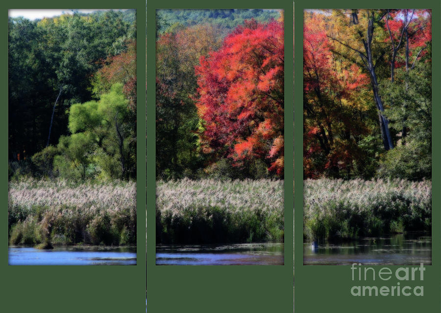 Autumn Marsh Through A Window Photograph by Smilin Eyes Treasures