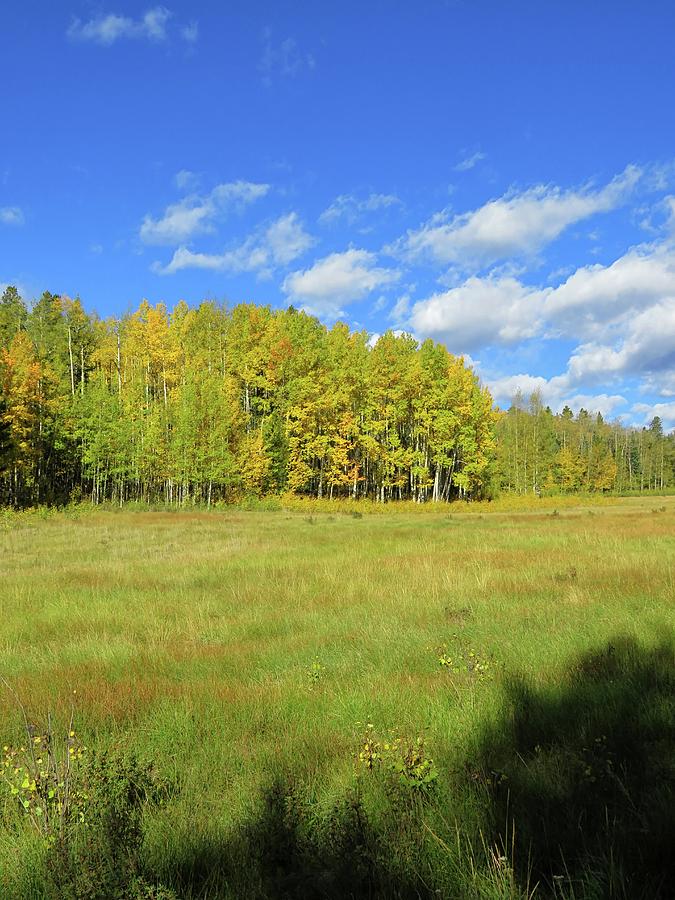 Autumn Meadow Photograph by Connor Beekman