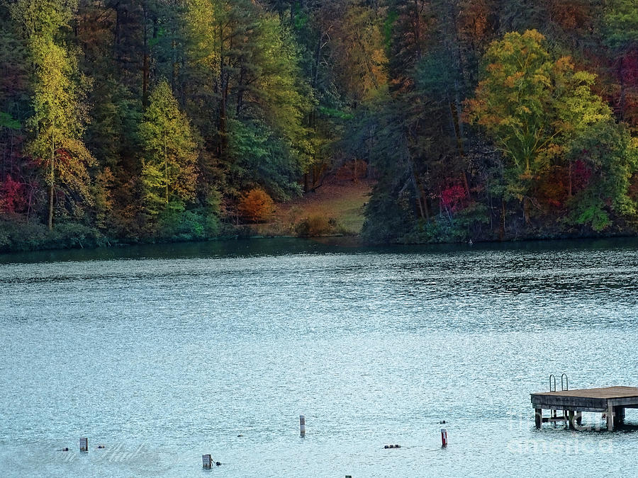 Autumn Photograph by Melissa Messick