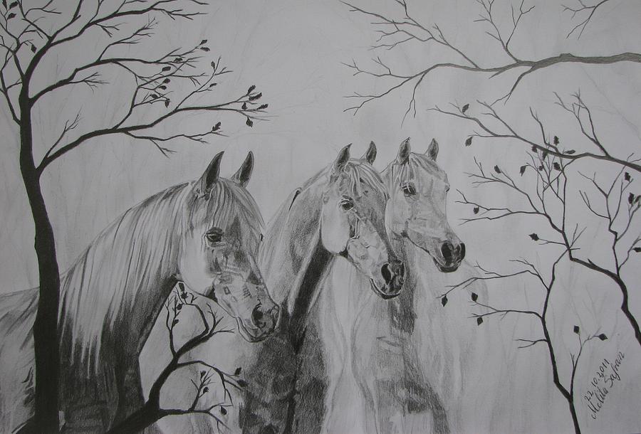 Horse Drawing - Autumn by Melita Safran