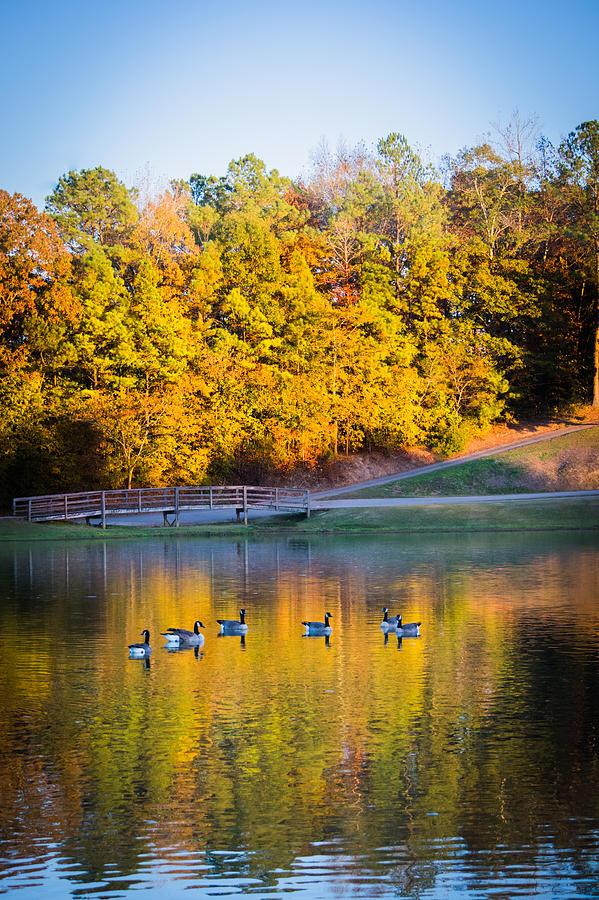Autumn Memories on the Pond Photograph by Parker Cunningham