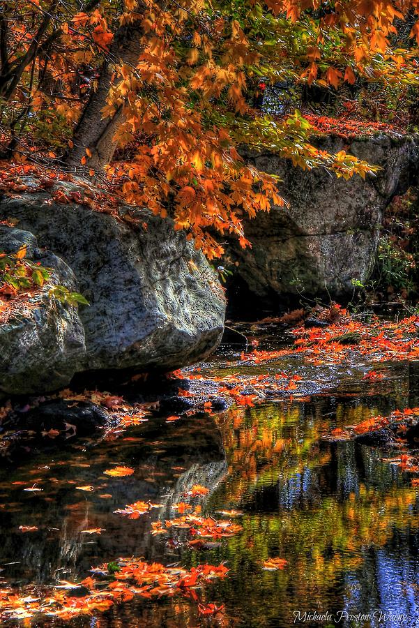 Autumn by Michaela Preston Autumn by Michaela Preston