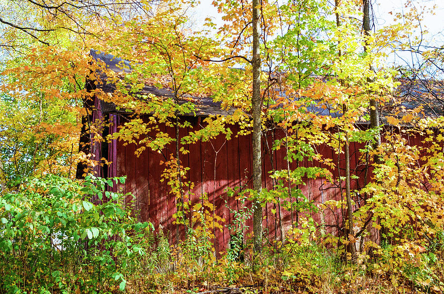 Fall Photograph - Autumn Michigan Barn  by John McGraw