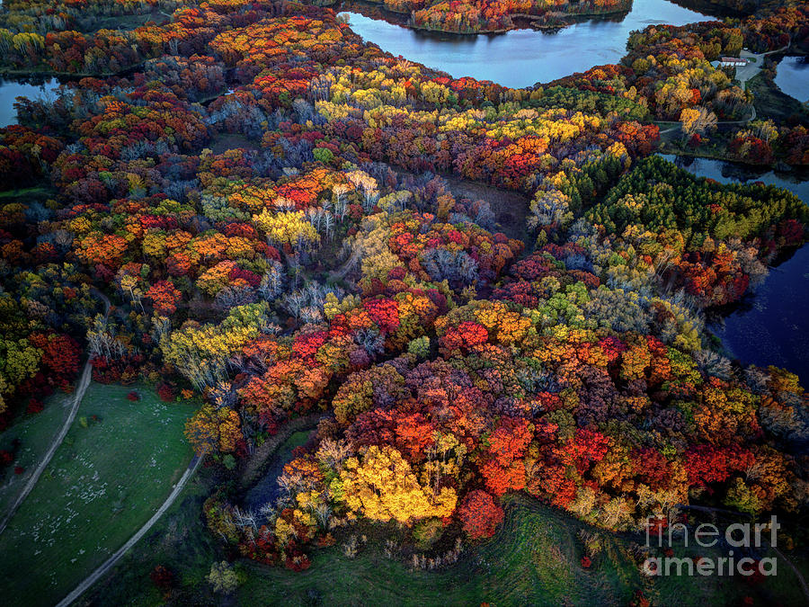 Fall Photograph - Autumn Minnesota Parks - Lebanon Hills Park Dakota County by Wayne Moran