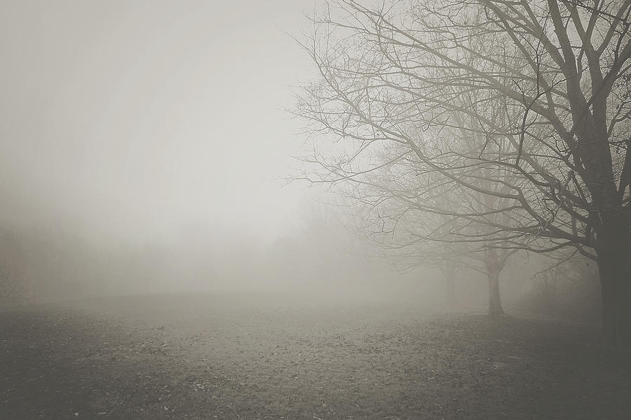 Autumn Mist 2 Photograph by Megan Swormstedt