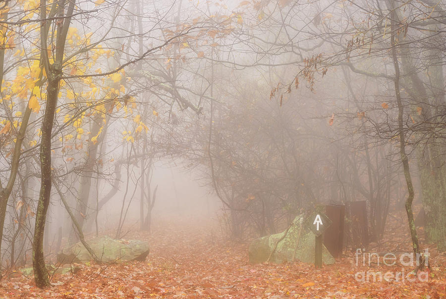 Autumn Mist Appalachian Trail Photograph by Thomas R Fletcher