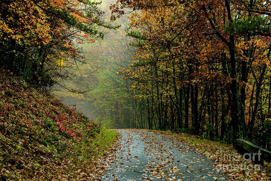 Fall Photograph - Autumn Mist Blue Ridge Parkway by Thomas R Fletcher