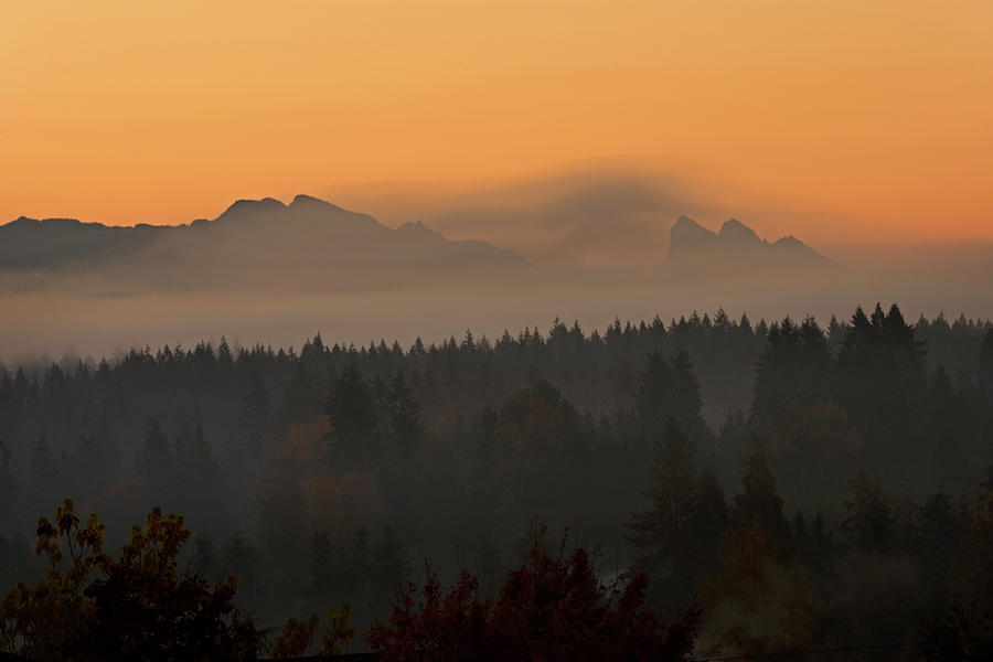 Autumn Mist Photograph by David Lunde