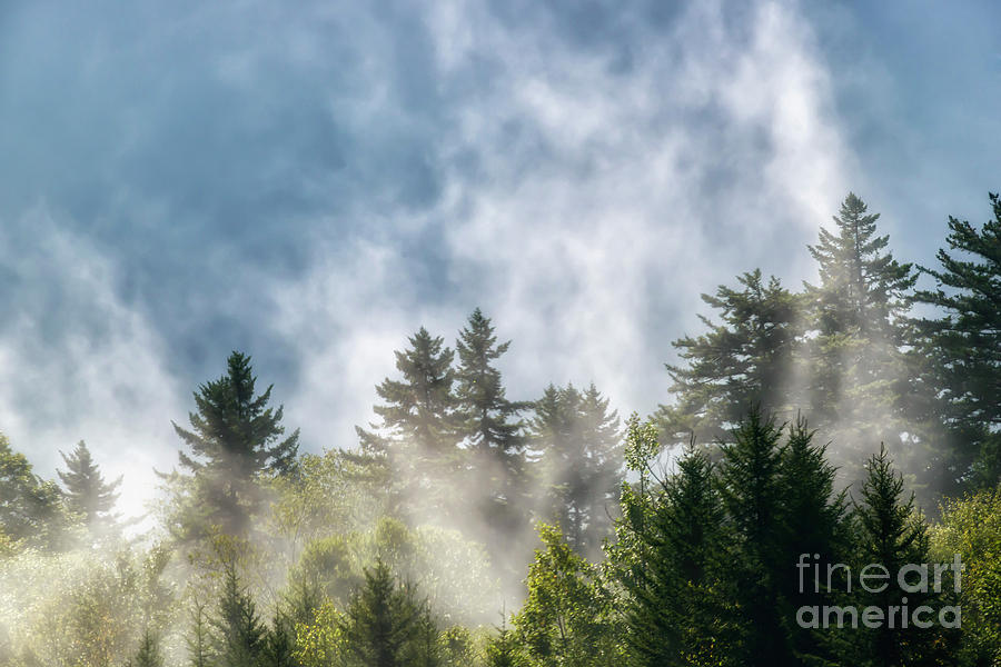 Autumn Mist Highland Scenic Highway Photograph by Thomas R Fletcher