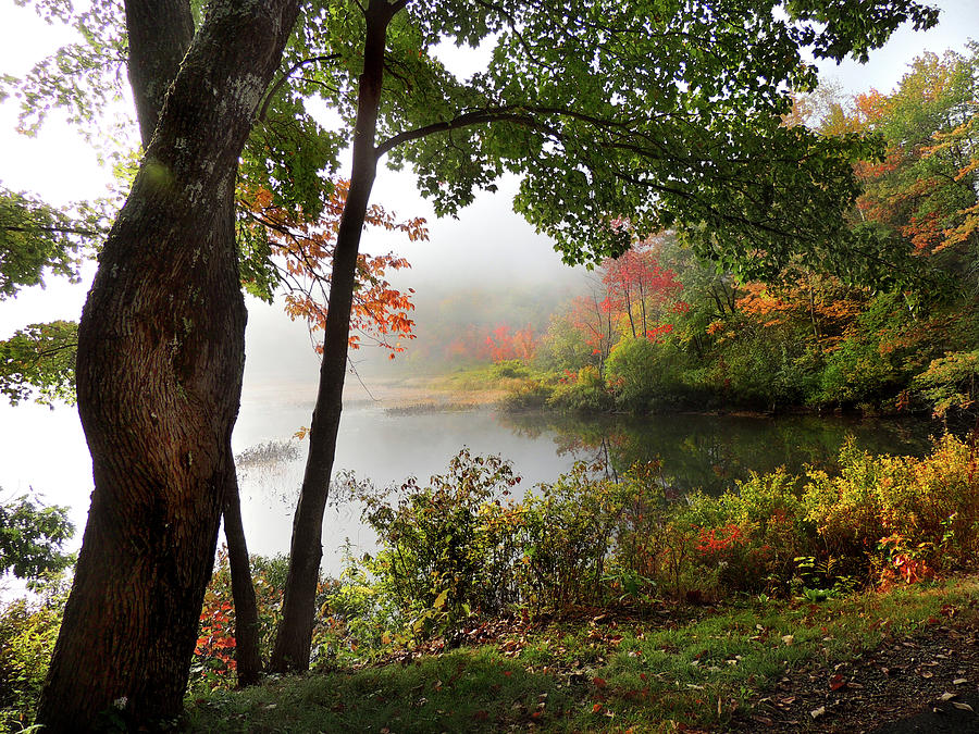 Autumn Mist on Baker Pond Photograph by Nancy Griswold