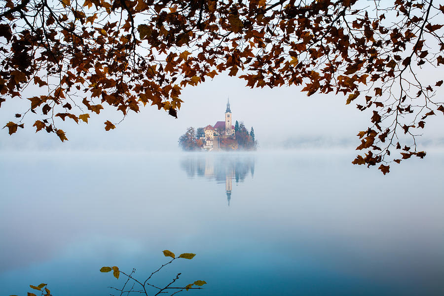 Tree Photograph - Autumn Mist over Lake Bled by Ian Middleton