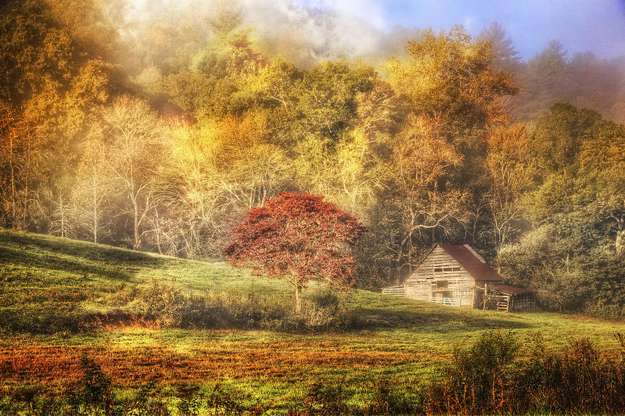 Autumn Mists Photograph by Debra and Dave Vanderlaan - Fine Art America