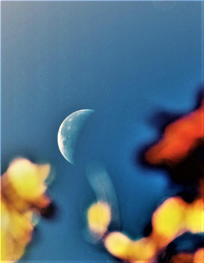 Autumn Moon Photograph by John Glass