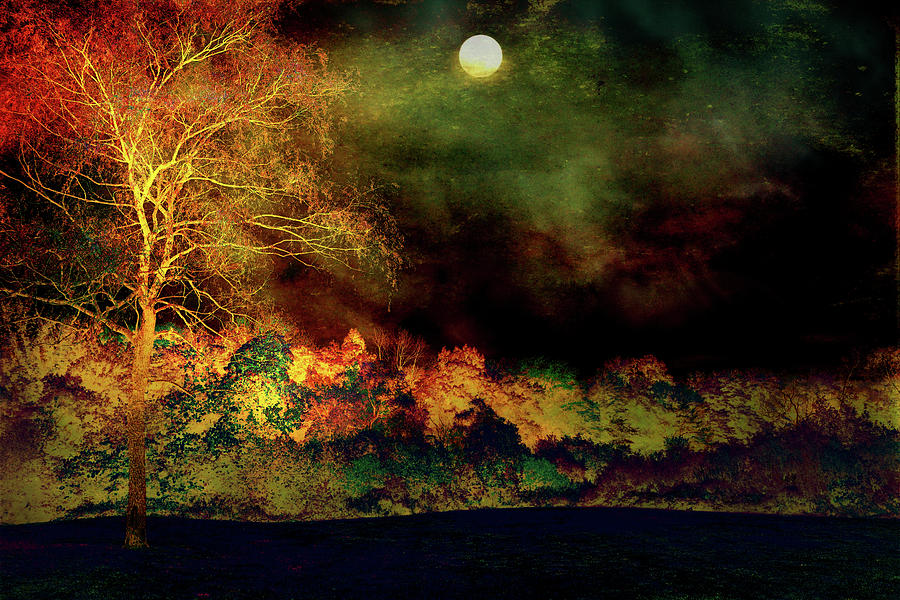 Autumn Moon landscape Digital Art by Lilia S
