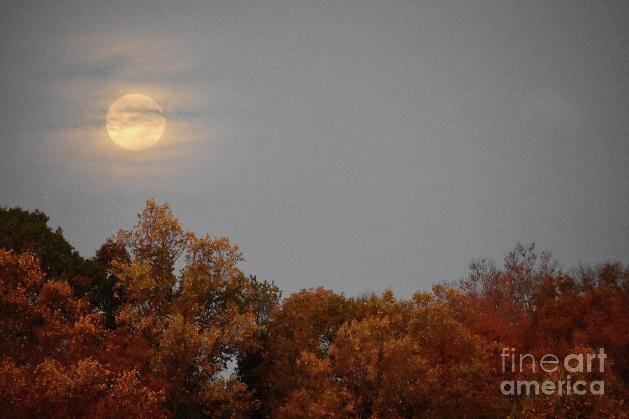 Autumn Moon Photograph by Skip Willits