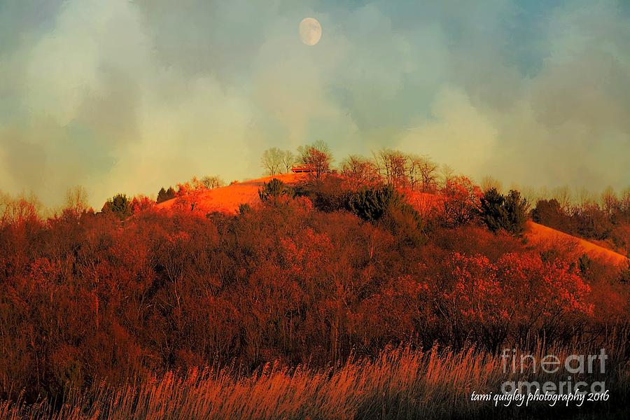 Autumn Moonrise Photograph by Tami Quigley