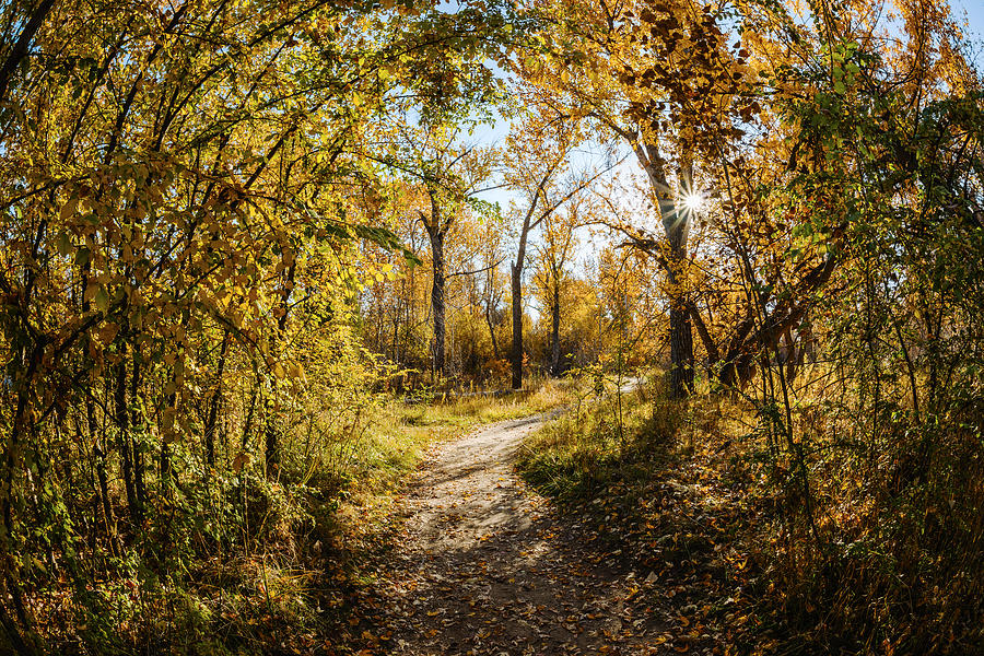 Autumn morning along Green Belt in Boise Idaho Photograph by Vishwanath Bhat