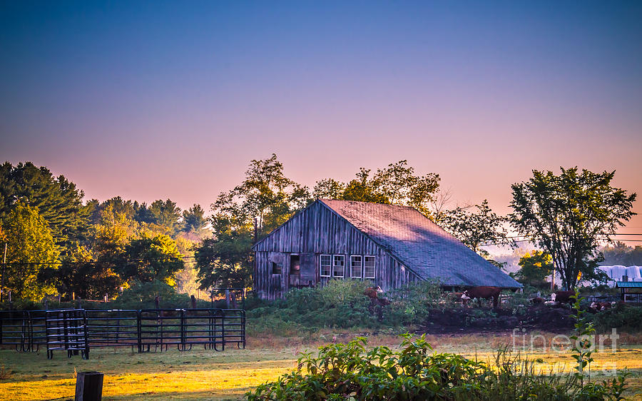 Autumn morning at the farm 1 Photograph by Claudia M Photography