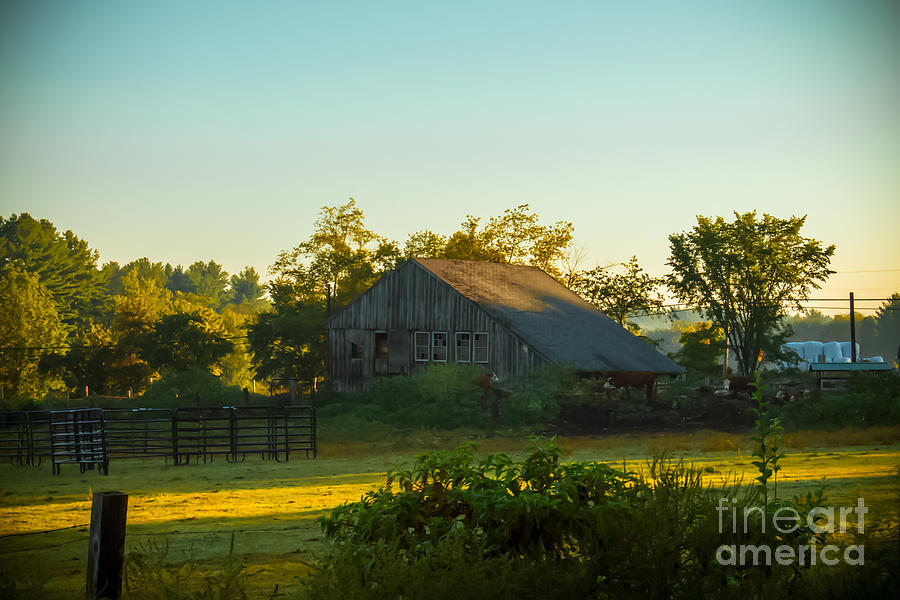 Nature Photograph - Autumn morning at the farm by Claudia M Photography