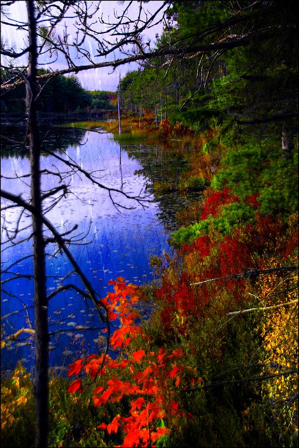 Autumn Morning Photograph by Bill Howard